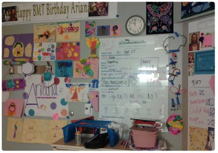 arianas-craft-wall