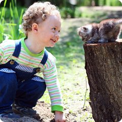 boy and kitten