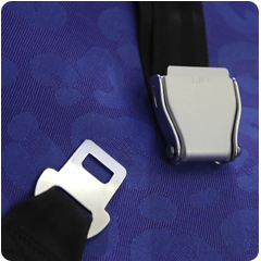 seat-belt-buckle